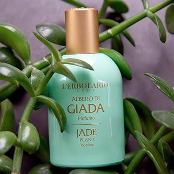 Giada Edp 50ml
